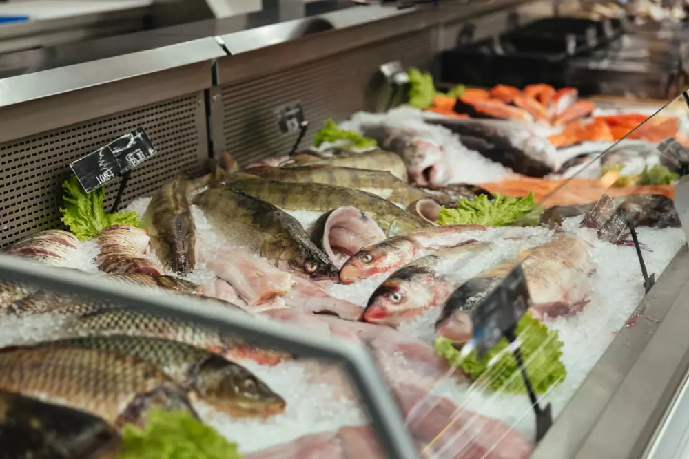 MERCADO DO PESCADO ][ Inflação da carne leva brasileiros a aumentar consumo de peixes em 8,2%